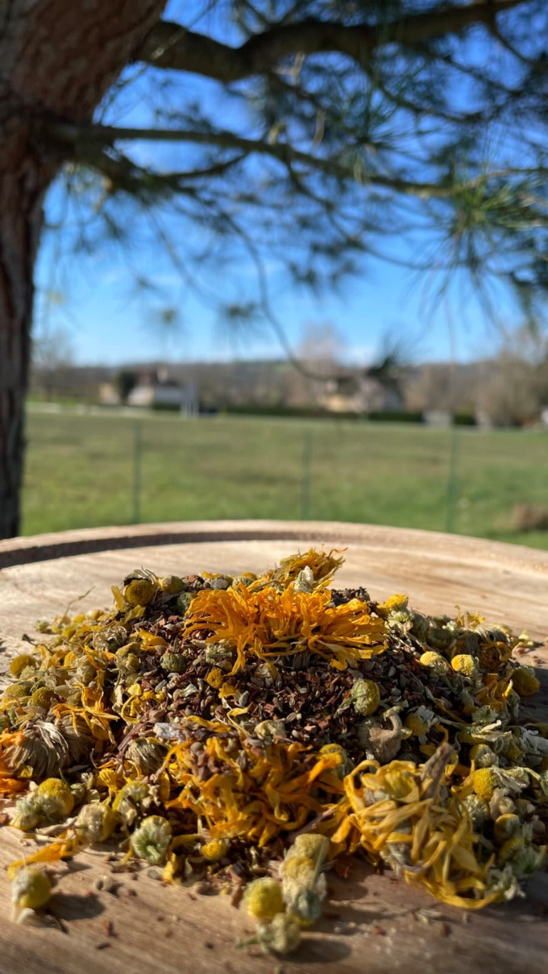 Tisane Rooibos Digestion